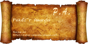 Pekár Amanda névjegykártya